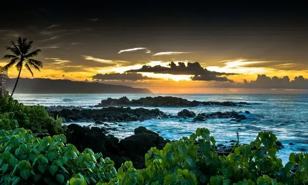 north shore seascape