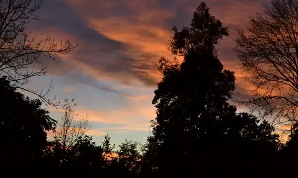 november fire styria liezen