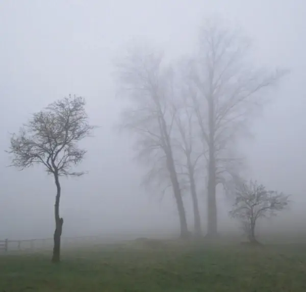 november fog