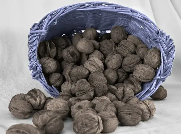nuts basket brown