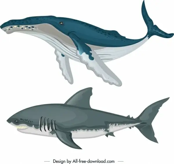 ocean design elements whale shark icons colored sketch