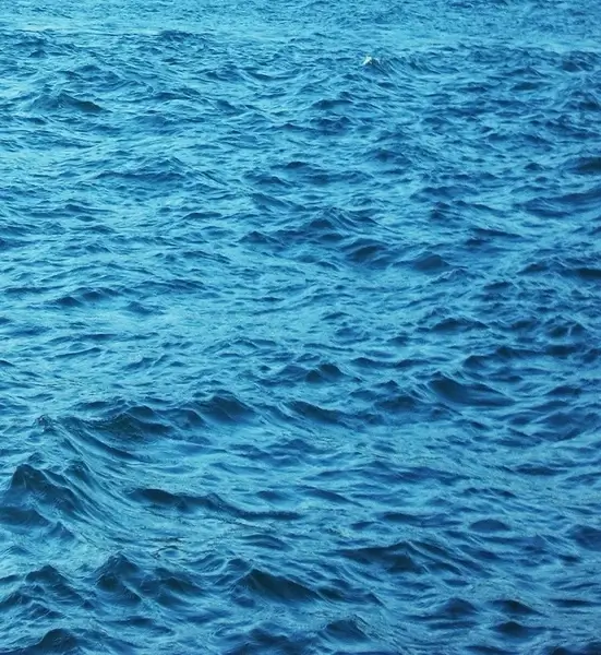 ocean waves