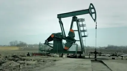 Oil pump 2