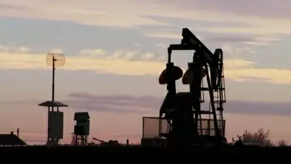 Oil pump 5