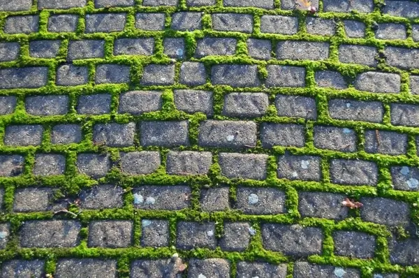 old pavement
