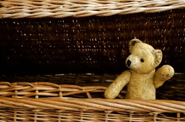 old teddy bear
