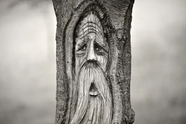 old wise alone