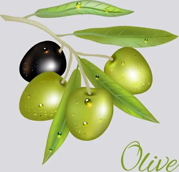 olive icon shiny green black design
