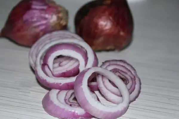 onion rings