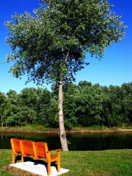 orange bench