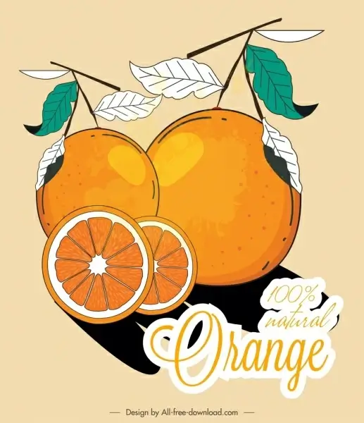 orange fruit advertisement colored classical flat sketch