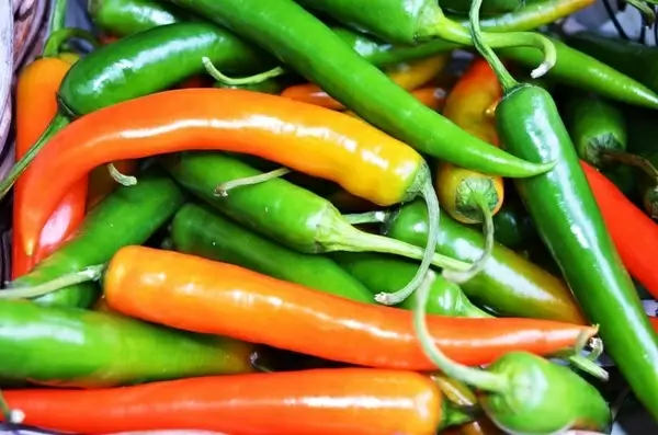 orange green peppers
