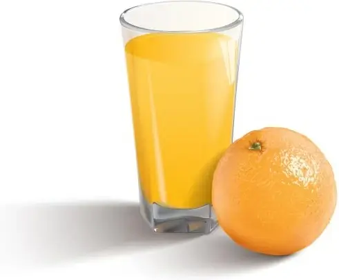 orange juice and orange vector