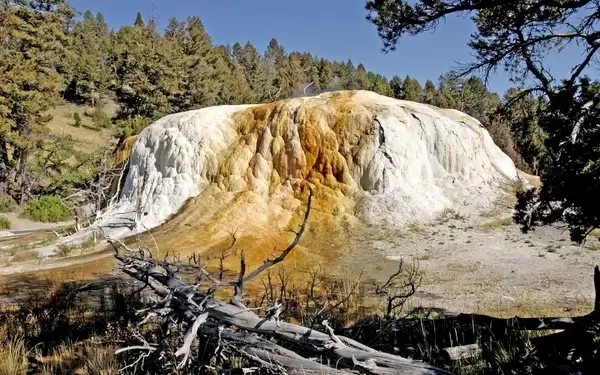 orange spring mound yellowstone national park wyoming
