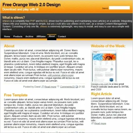 Orange Web 2.0 Template