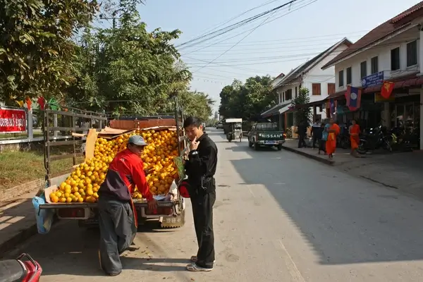 oranges