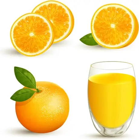 oranges with juice creative vector
