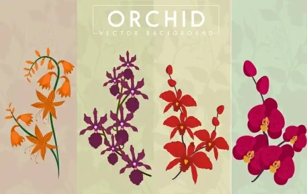 orchid background collection various shapes colored design