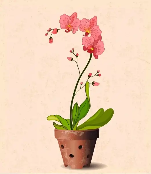 orchid pot drawing 3d retro design