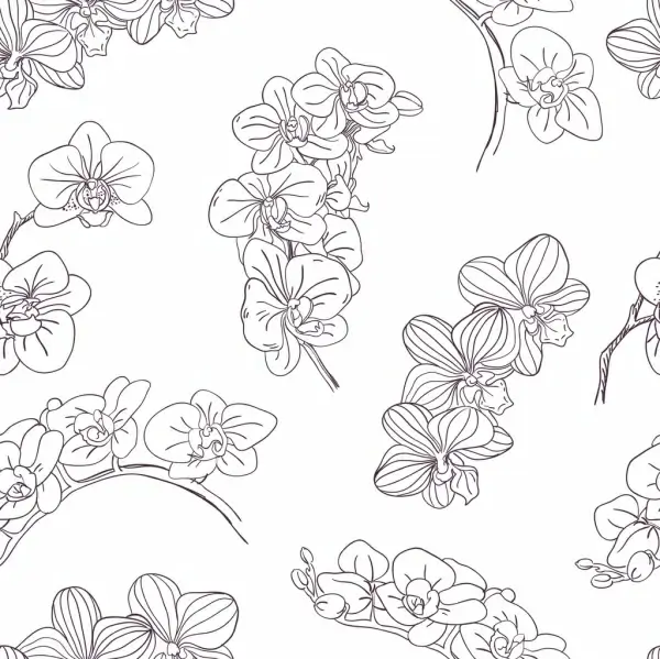 orchids background black white handdrawn sketch