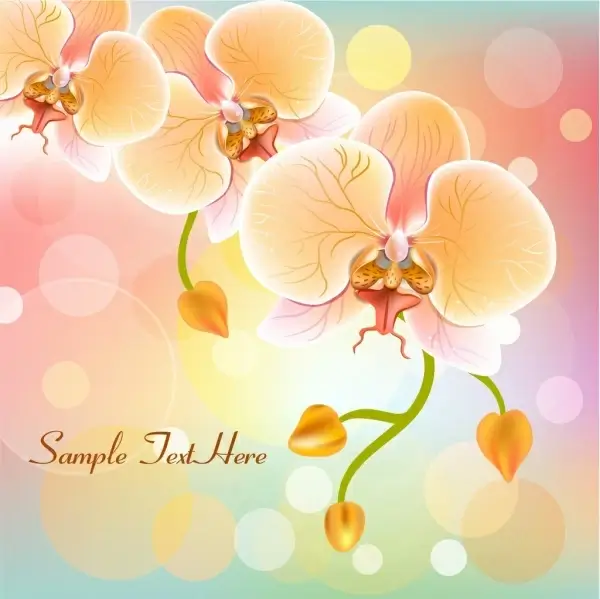 orchids background sparkling multicolored decoration