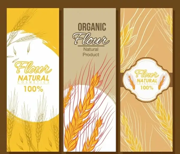 organic flour banner templates cereal icons sketch