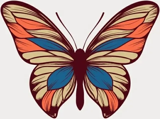 original design butterfly vector