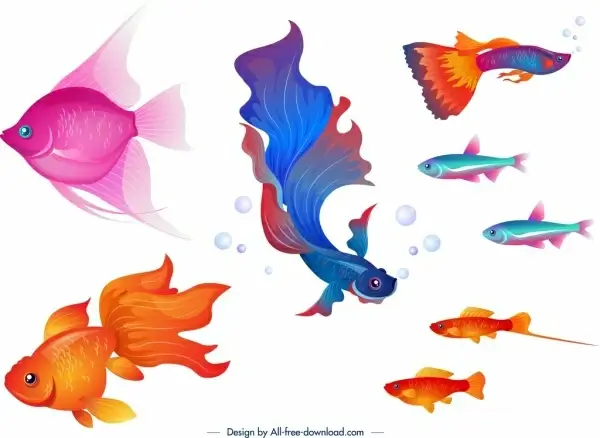 ornamental fishes icons colorful cartoon design