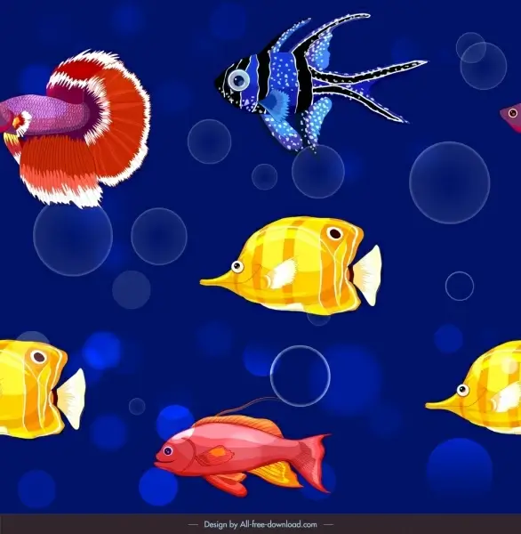 ornamental fishes pattern colorful swimming species decor