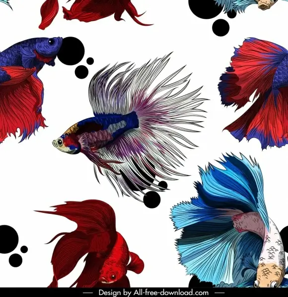 ornamental fishes pattern multicolored motion decor
