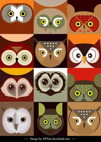 owl faces backgrounds colored flat symmetric design