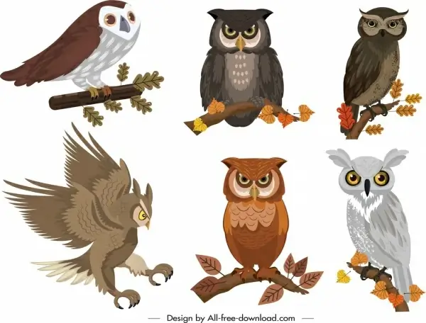 owl icons collection colored cartoon design