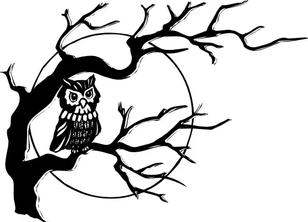 Owl On Tree Branch clip art