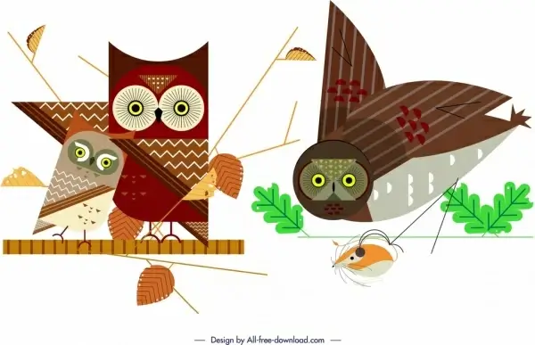 owl wild animal icons colored flat design