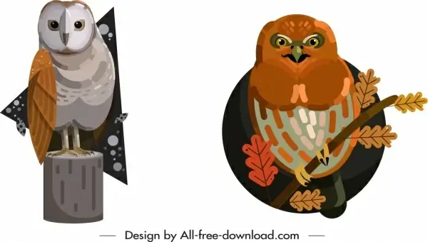 owl wild animals icons colored classical design