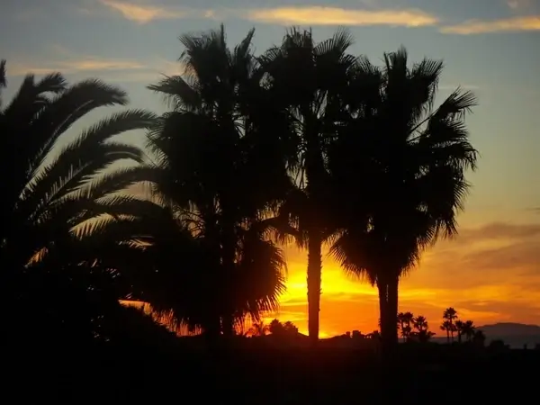 pacific coast sunset