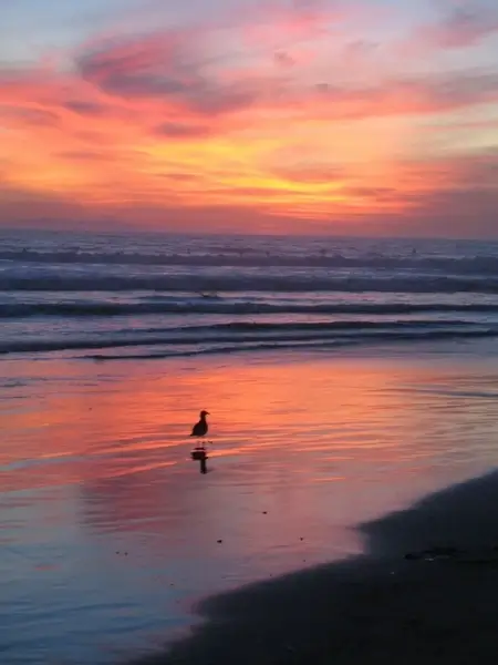 pacific sunset