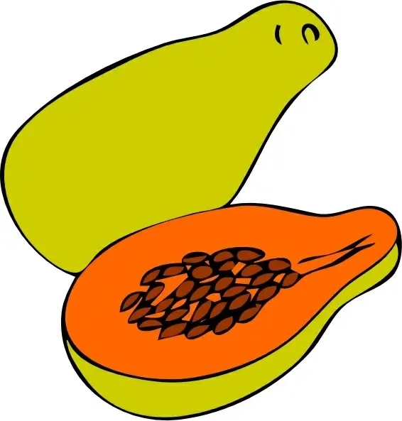 Papaya clip art