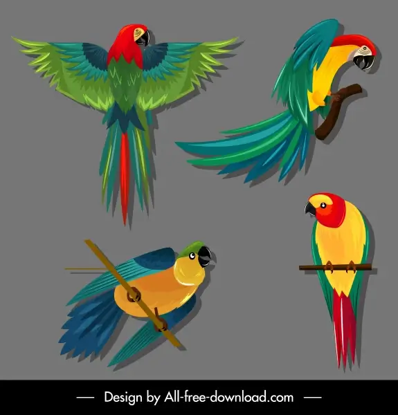 parrot species icons colorful sketch flying perching gestures