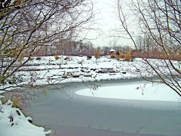 partially frozen pond