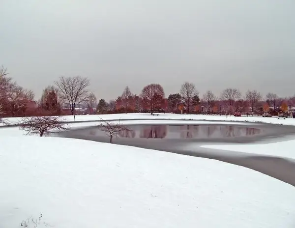 partially frozen pond
