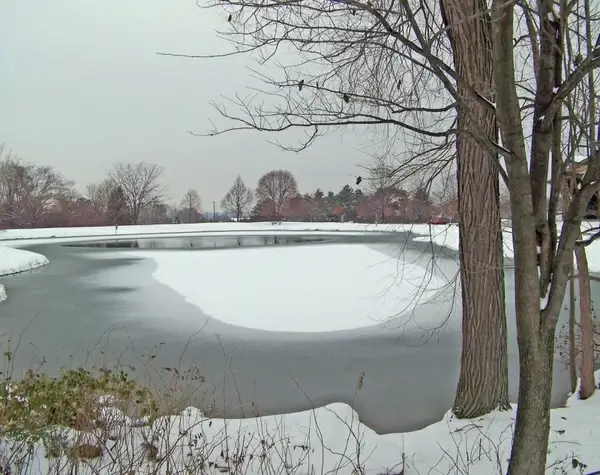 partially frozen pond