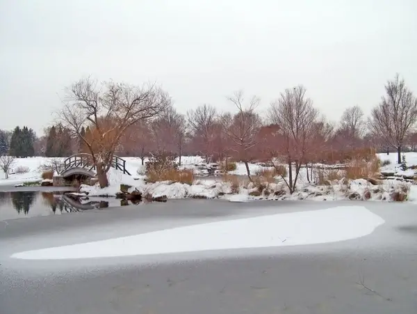 partially frozen pond