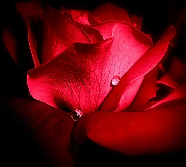 passion dune nuit