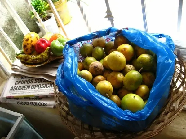 passion fruit
