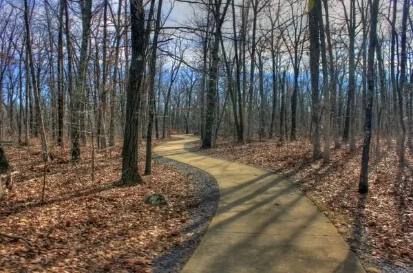 pathway to the top