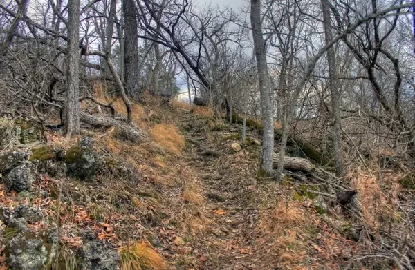 pathway up at meramec state park missouri