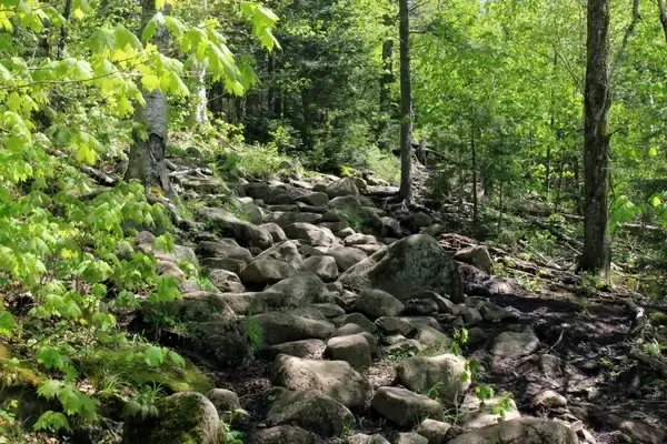 pathway up in adirondack mountains new york