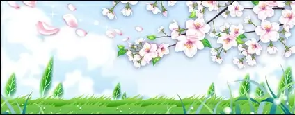 Peach blossom