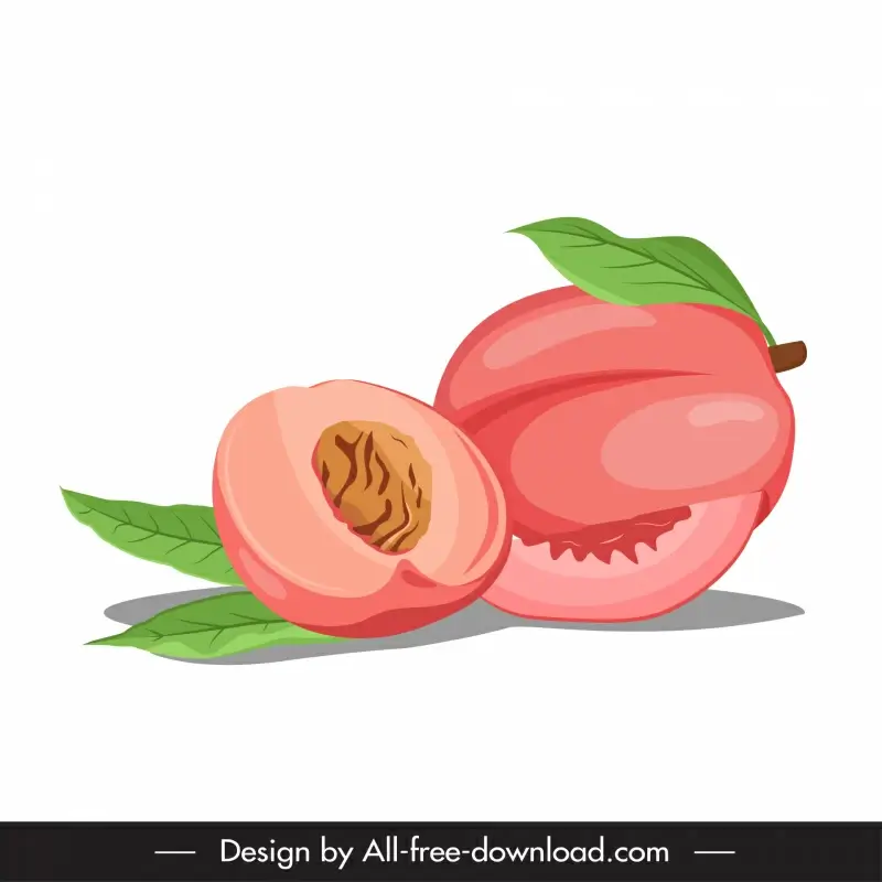 peach icon sliced fruit sketch classical handdrawn outline 